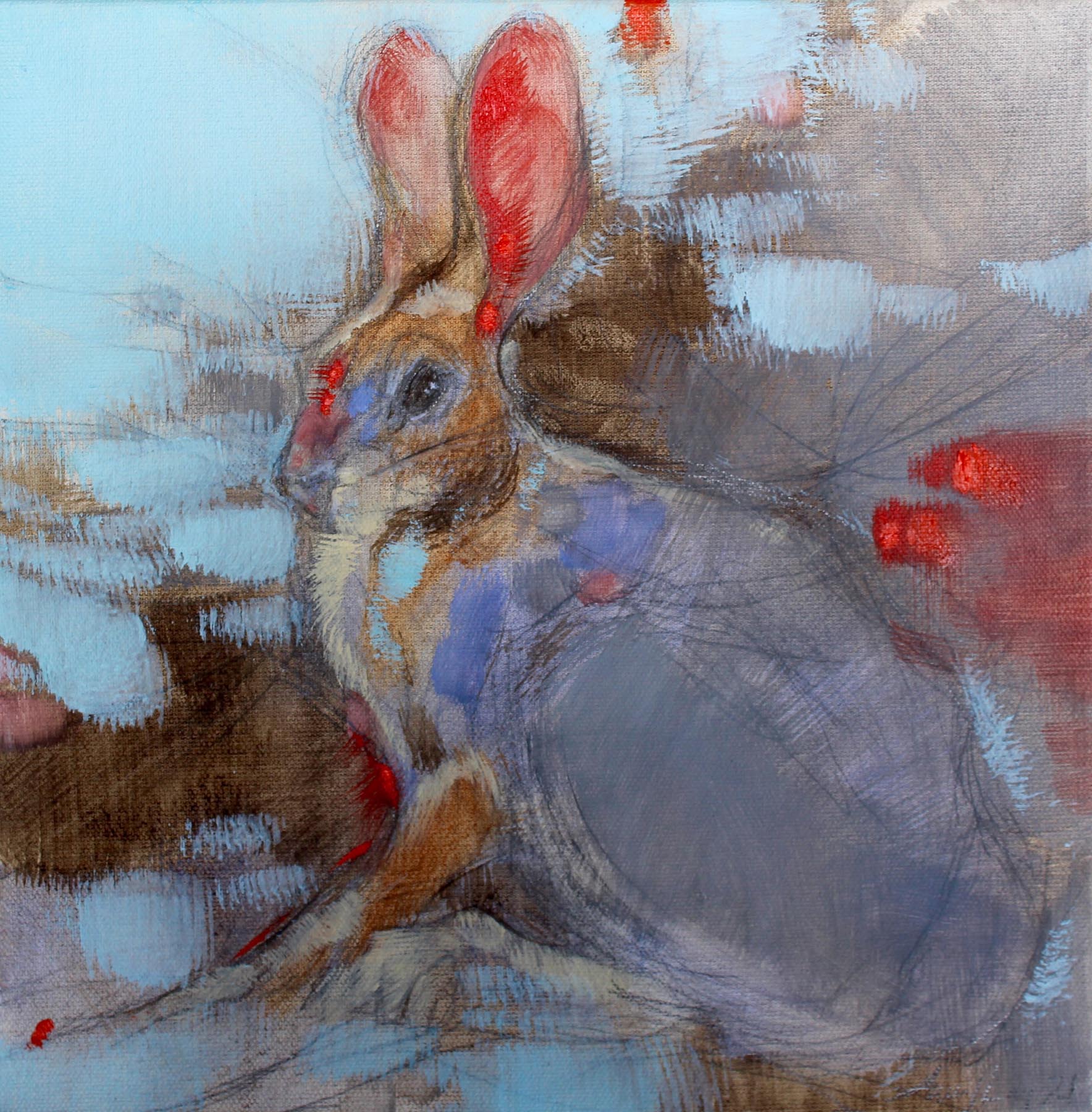 Cottontail - 12x12